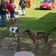Treffen 2021 - 192